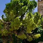 Semesterbostad History And Art Casa Bellacera Casteldaccia
